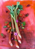 Berries, rhubarb and mint