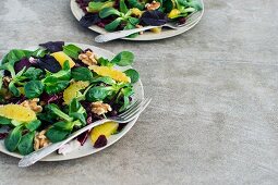 Mixed Salad with Orange, Wallnuts and Dried Cranberries