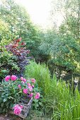 Idyllischer Bachlauf mit Büschen, Bäumen und einem Korb blühender Pfingstrosen am Ufer