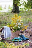 Basket of autumn leaves in woods