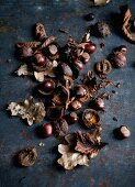 Chestnuts with autumn leaves