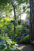 Candle lanterns in garden