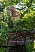 Blick auf Holzbrücke in bewachsenem Garten