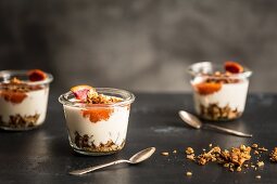 Knuspermüsli mit Joghurt und Blutorangenkompott