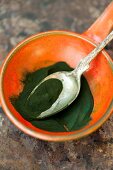 Chlorella algae powder in a ceramic bowl