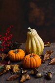 Decorative pumpkins and autumn leaves