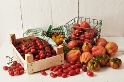 No capiton - Sensational Tomatoes