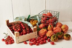 Stillleben mit verschiedenen Tomatensorten