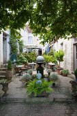 Cafe in planted, Mediterranean-style courtyard