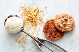 Vanilla ice cream, cookies and chopped hazelnuts for an ice cream sandwich