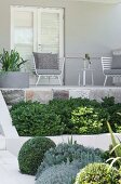 Pflanzen mit verschiedenen Grüntönen vor einer Terrasse