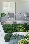 Plants with different shades of green in front of a terrace