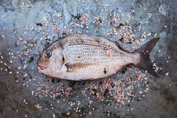 Fresh sea bream with salt