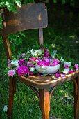 Rosenblüten für Marmelade auf Stuhl im Garten