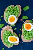 Toasts with mashed green peas, boiled egg and fresh basil