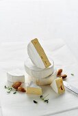 Still life of different varieties of Camembert or Brie Cheese