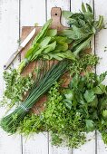 Fresh herbs for making green sauce