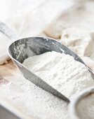 A metal scoop with flour (close up)