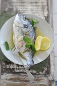 Poached dorade with lemon and mint