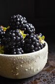 Fresh blackberries in a ceramic bowl