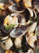 Steamed cockles (close-up)