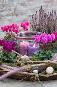 Cyclamen in a wreath of clematis tendrils