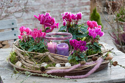 Cyclamen im Kranz aus Clematisranken :