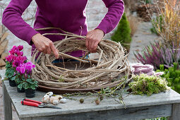 Cyclamen in a wreath of clematis tendrils