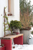 Triangle of branches as a feeding staircase