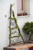 Triangle of branches as a feeding staircase