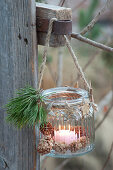 Haushaltsglas als Windlicht aufgehaengt, Pinus ( Kiefer ), Sterne aus Rinde