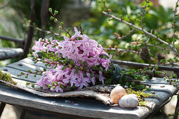 Fragrant bouquet of Hyacinthus 'Pink Pearl', and branches