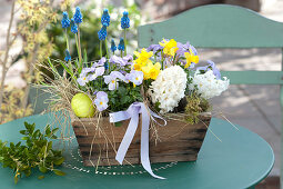 Hyacinthus 'White Pearl' ( Hyazinthen ), Viola cornuta Rocky 'Lavender Blush'