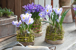 Homemade pots from Cornus branches