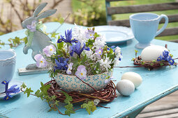 Arrangement in cereal bowl as table decoration, iris reticulata, scilla