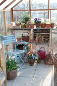 Early spring in the greenhouse