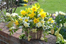 Gelb-weißer Osterstrauß im Korb : Narcissus ( Narzissen ), Helleborus