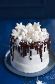 Snowflake cake with mini marshmallows, fondant snowflakes and coconut pralines