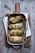 Savoury chicory roulade