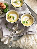 Vegetable cream soup and fresh cheese balls