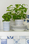 Regalbrett mit Geschirr und Kräutern, darunter weiß-blaue Wandfliesen in der Küche
