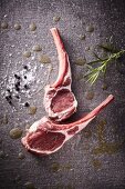 Raw lamb chops with rosemary, salt and pepper