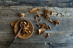 Beechnuts (fagus sylvatica) in a spoon and a bowl on a wooden table