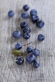 Fresh wild blueberries