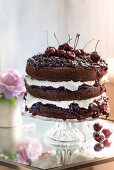 Black forest cake