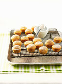 Mini-Muffins mit Sultaninen und Zimt auf Abkühlgitter