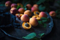 Fresh apricots on a metal tray