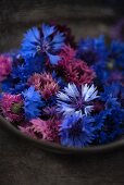 Edible cornflowers (Cyanus segetum) of various colours