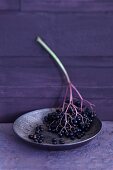 A twig of elderberries in a bowl