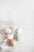 Easter eggs and feathers on white wooden surface